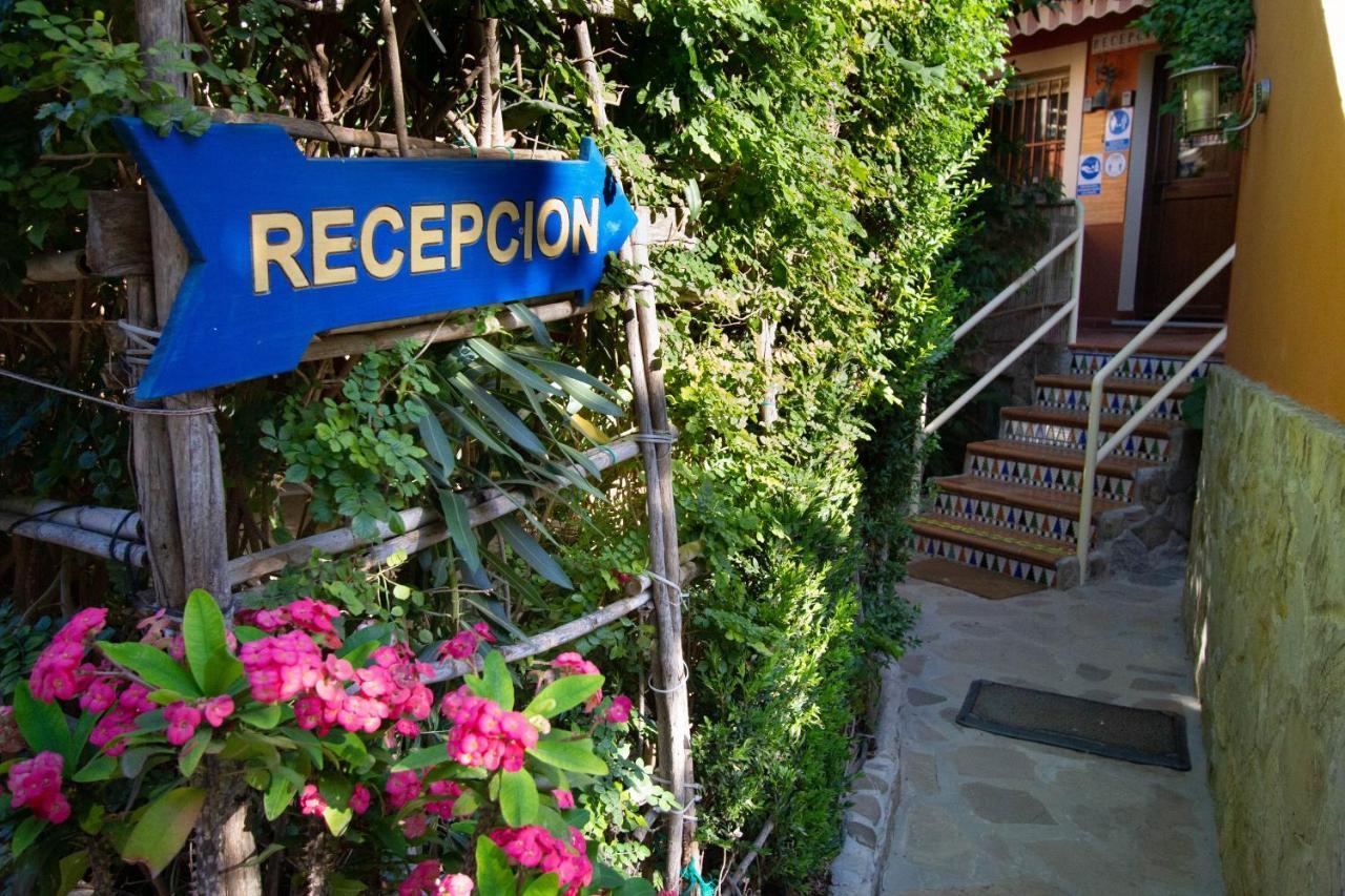 Apartamentos Turisticos Trajano Bolonia Zewnętrze zdjęcie